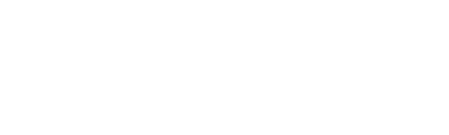 wpsprint.hu logo